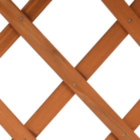 vidaXL Garden Trellis Planter Orange 45x30x74 cm Solid Firwood