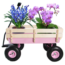 Outdoor Wagon All Terrain Pulling Wood Railing Air Tires Garden Cart